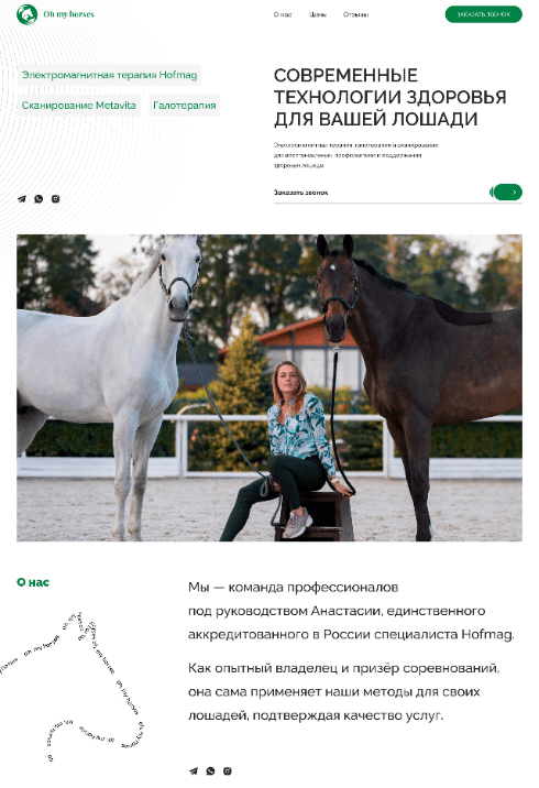 Oh My Horses